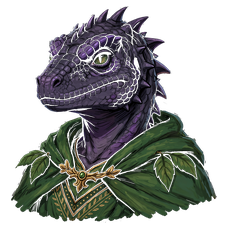 Black Kobold — Druid portrait