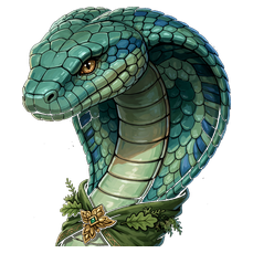 Forest Naga — Druid portrait
