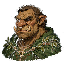 Troll — Druid portrait