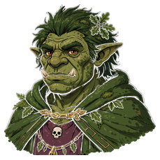 Wild Troll — Druid portrait
